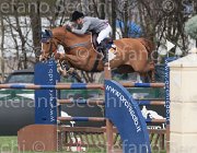 Hamood Eternal Flame TosTour 2013- S4 6626 : Arezzo Equestrian Centre, Eternal Flame, Hamood Olivia, Toscana Tour 2013, foto di Stefano Secchi ©